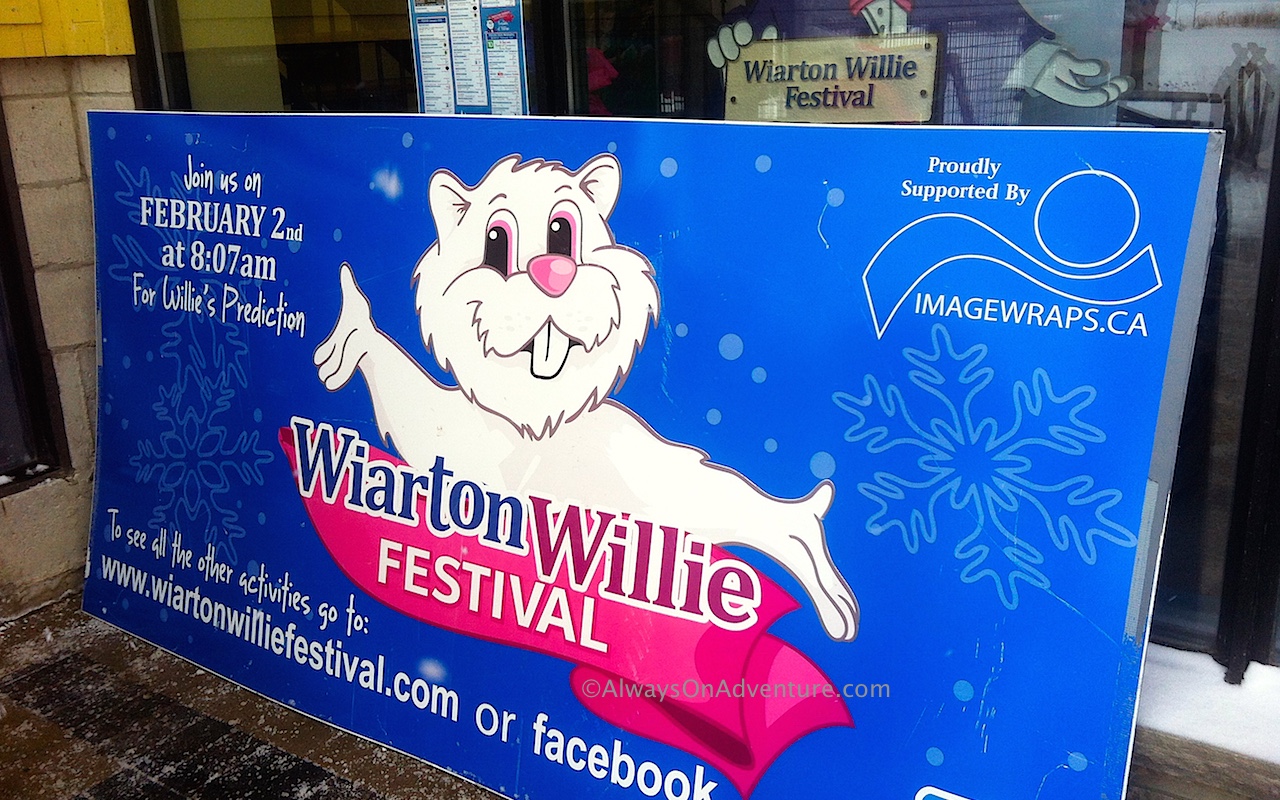 Wiarton Willie Festival